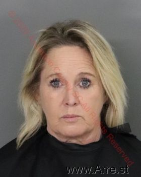 Lisa Renee Bailey Mugshot