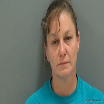 Lisa Floyd Hopkins Mugshot