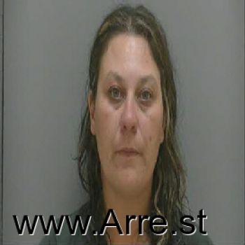 Lisa Winburn Matteson Mugshot