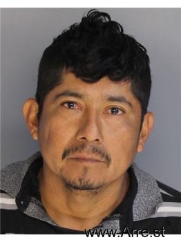 Lorenzo  Cruz Bohorquez Mugshot