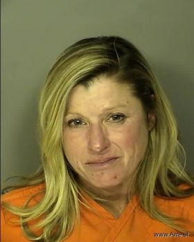 Laura Lyn Johnston Mugshot