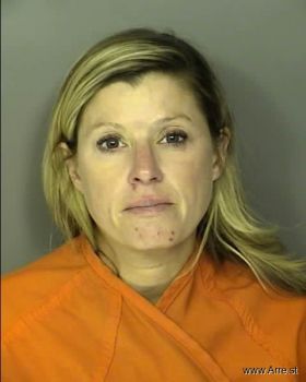 Laura Lyn Johnston Mugshot