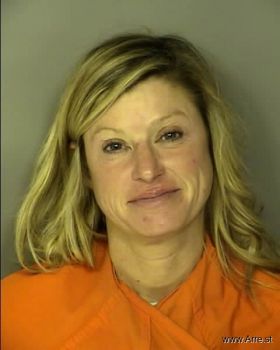 Laura Lyn Johnston Mugshot