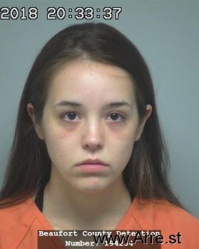 Lauren Ashley Johnson Mugshot