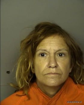 Lisa Marie Bright Owens Mugshot