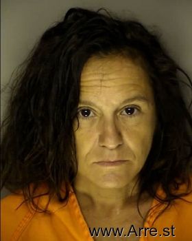 Lisa Marie Bright Owens Mugshot