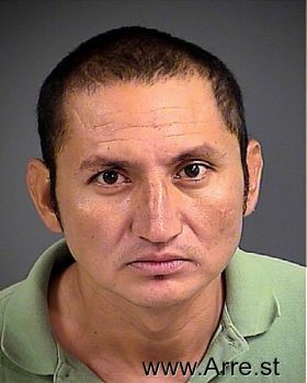 Luis  Gonzales-gonzales Mugshot