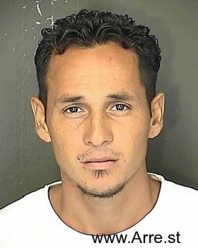 Luis R Juarez-medina Mugshot