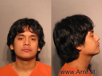 Luis  Leyva-martinez Mugshot