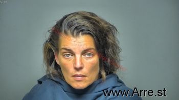 Melissa Ann Collins Mugshot