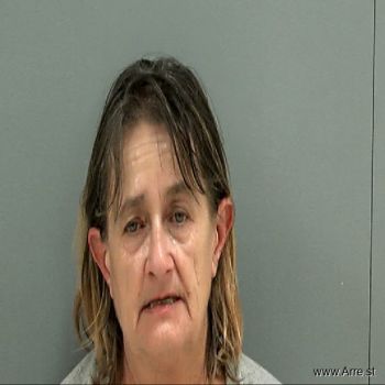 Michelle Ann Hayes Mugshot