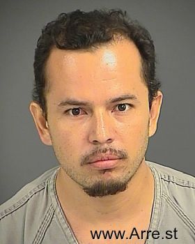 Manuel  Sanchez-gonzalez Mugshot