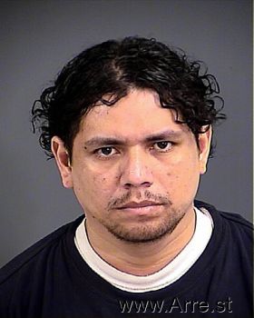 Marcos  Hernandez-magallon Mugshot