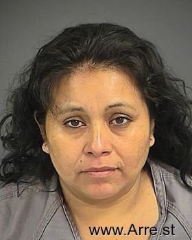 Maria  Cruz-hernandez Mugshot