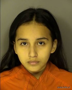 Maria Angeles Gomez Mugshot