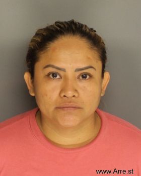 Maria  Maya-pacheco Mugshot