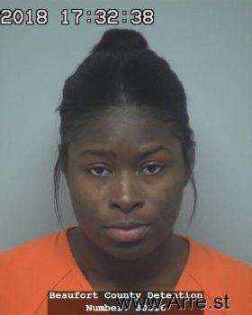 Marie Chenel Jenkins Mugshot