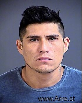 Mario  Castillo-saavedra Mugshot