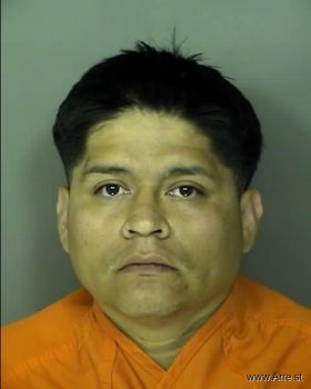 Mario  Espinoza Castro Mugshot