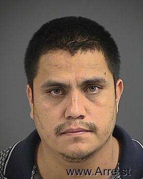 Mario  Gonzalez-salinas Mugshot