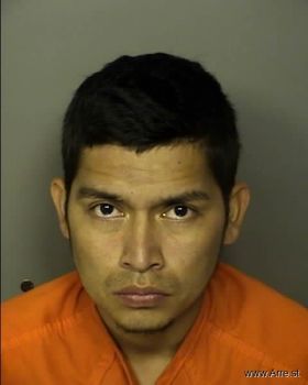 Mario  Sandoval Mugshot