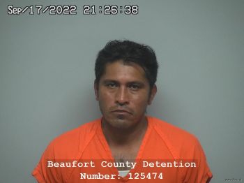 Mario Morales Valles Mugshot