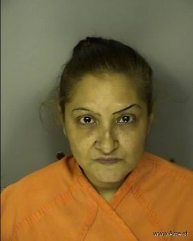 Mercedes Nmn Leon Mugshot