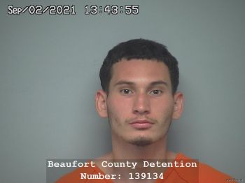 Michael Manuel Medina-ortez Mugshot