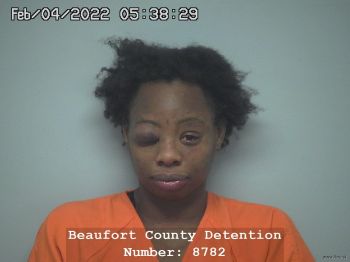 Michele Denise Collins Mugshot