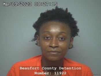 Michelle Ellesa Williams Mugshot