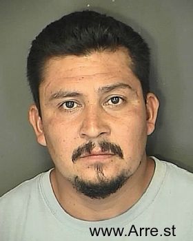 Miguel  Castillo-villagomez Mugshot