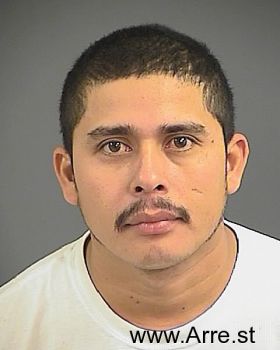 Nelson David Garcia-gomez Mugshot