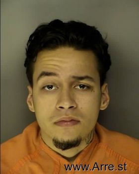 Nicholas Tyler Hernandez Mugshot