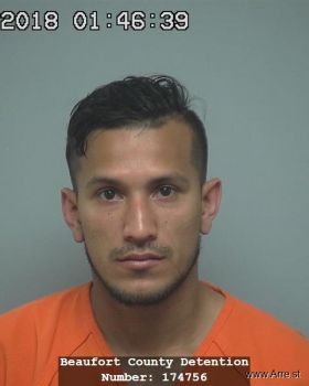 Noel Enrique Mejia Reyes Mugshot