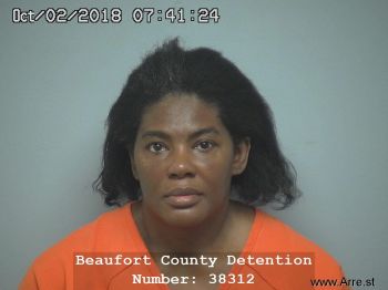 Patricia Andree Mitchell Mugshot