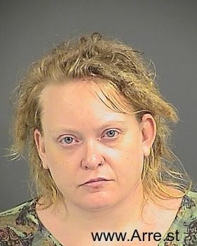 Paula Lynn Anderson Mugshot