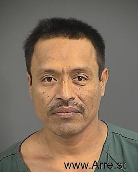 Pedro  Salinas-tapia Mugshot