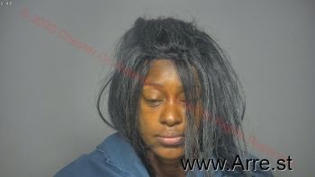 Rachel Elaine Anderson Mugshot