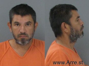 Raul Ernesto Castillo-carranza Mugshot