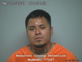 Raymundo  Hernandez-hernandez Mugshot