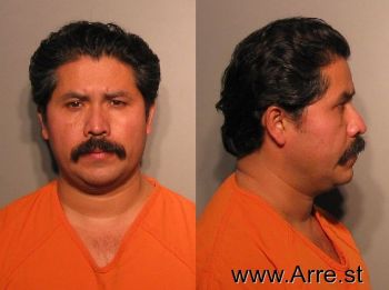 Rene  Gonzalez-sanchez Mugshot