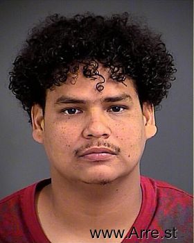 Rene  Hernandez-bobadilla Mugshot