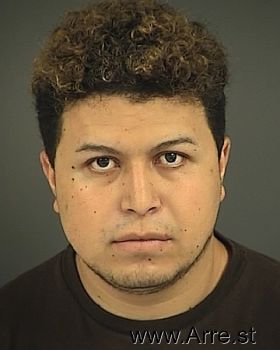 Ricardo  Salazar-tapia Mugshot