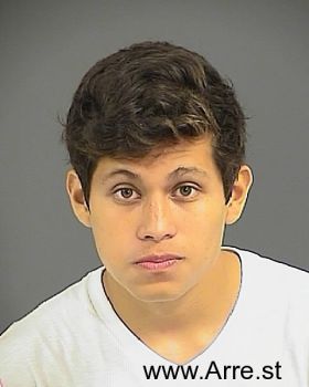 Roberto Delcid Medina Mugshot