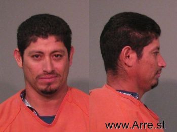 Rosario  Rodriguez-jimenez Mugshot