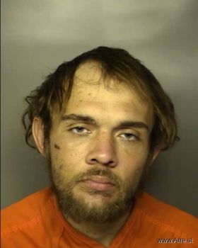 Ryan Wilson Lewis Mugshot