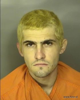 Ryan Brandon Stephens Mugshot