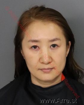 Shin Hee Kim Mugshot