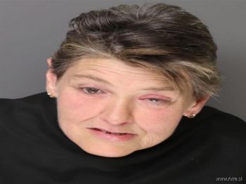 Susan Michelle Brown Mugshot