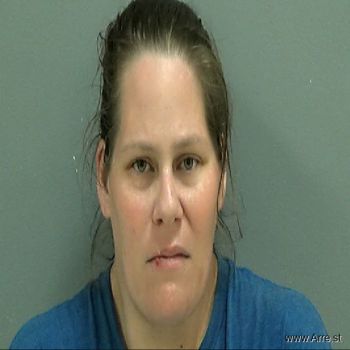 Susan Lee Dunn Mugshot